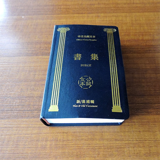 简体中文版